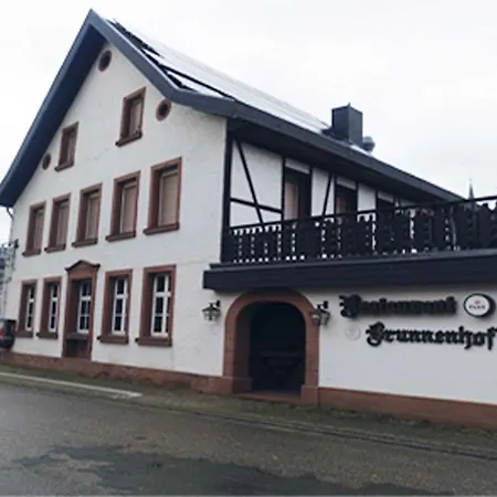 Hotel Brunnenhof 3*